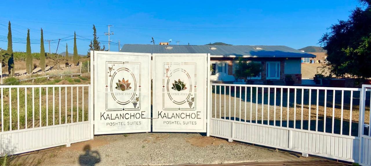 Kalanchoe Poshtel Suites Las Palmas  Luaran gambar