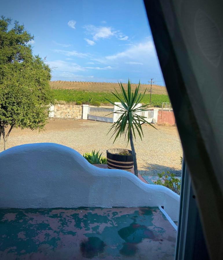 Kalanchoe Poshtel Suites Las Palmas  Luaran gambar
